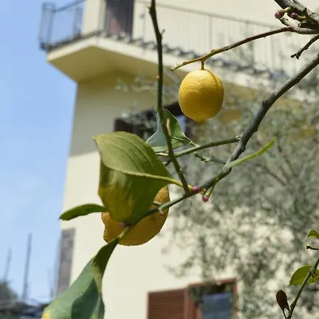 Il Rivolo Bed & Breakfast