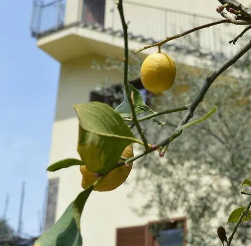 Il Rivolo Bed and Breakfast